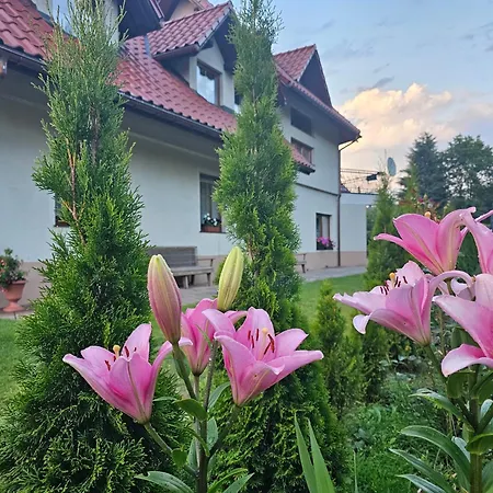 Lesniczowka 18 * Wegierska Gorka