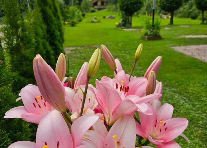 Lesniczowka 18 בית אירוח וגיירסקה גורקה