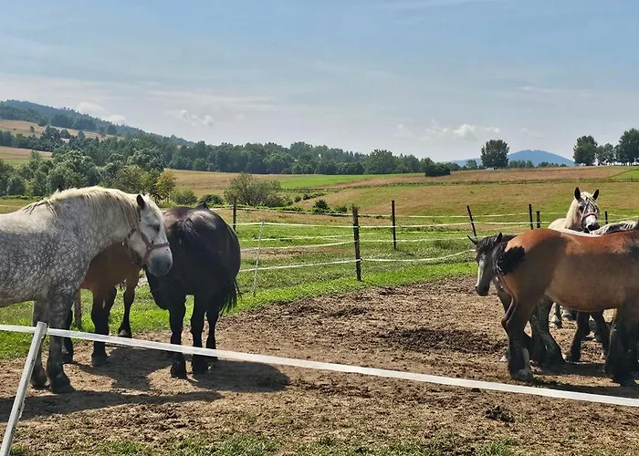 Lesniczowka 18 בית אירוח